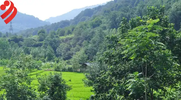 تور یک روزه نارنج بن با قطار